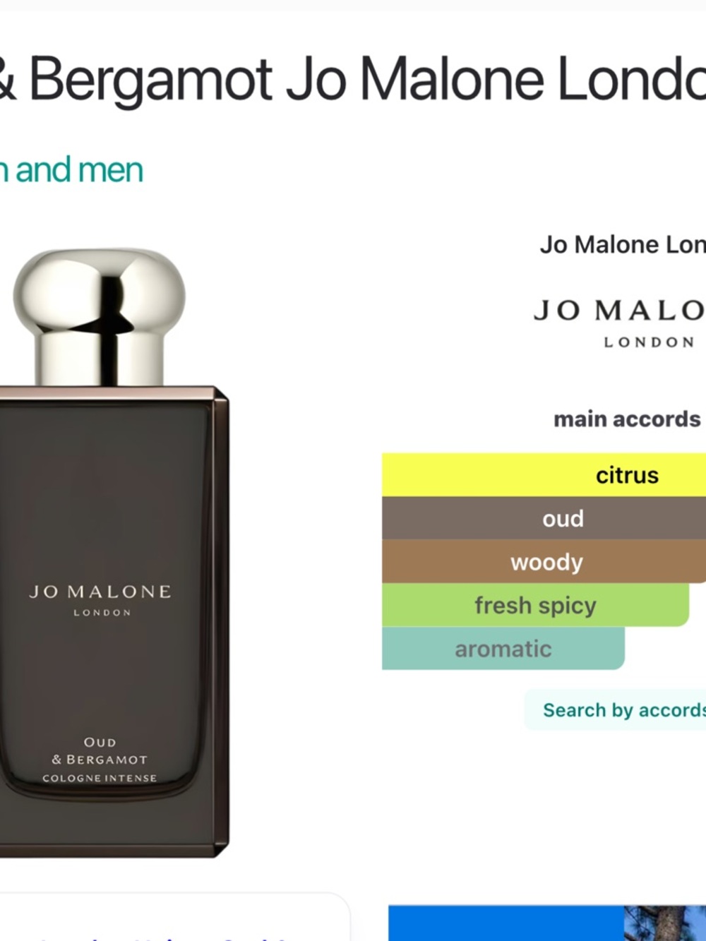 Jo Malone Oud & Bergamot Cologne Intense 3.4oz - BNIB - Picture 6 of 16